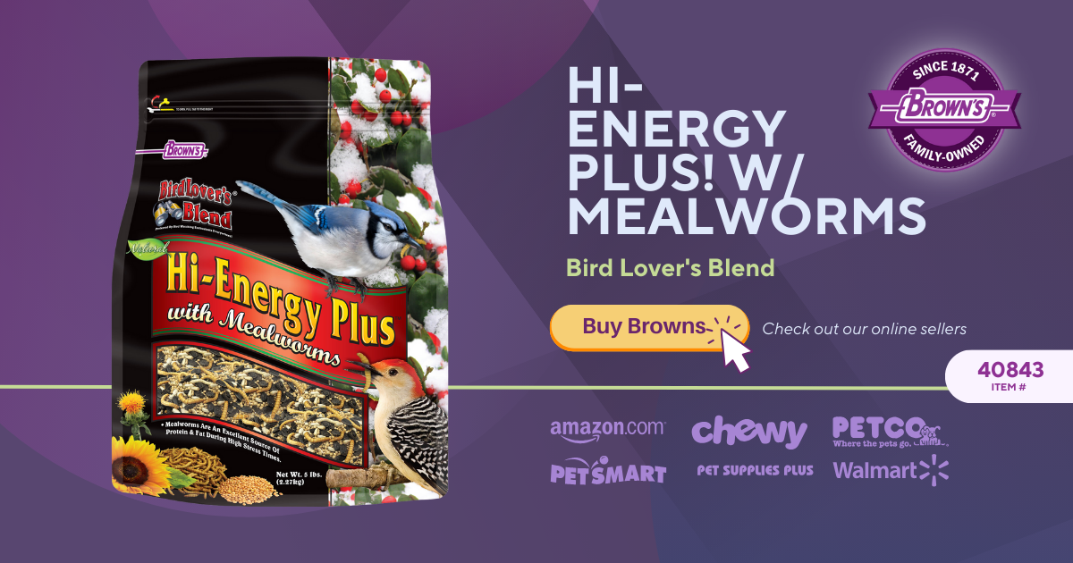 Brown s Pet Food Bird Lover s Blend Hi Energy Plus with Mealworms