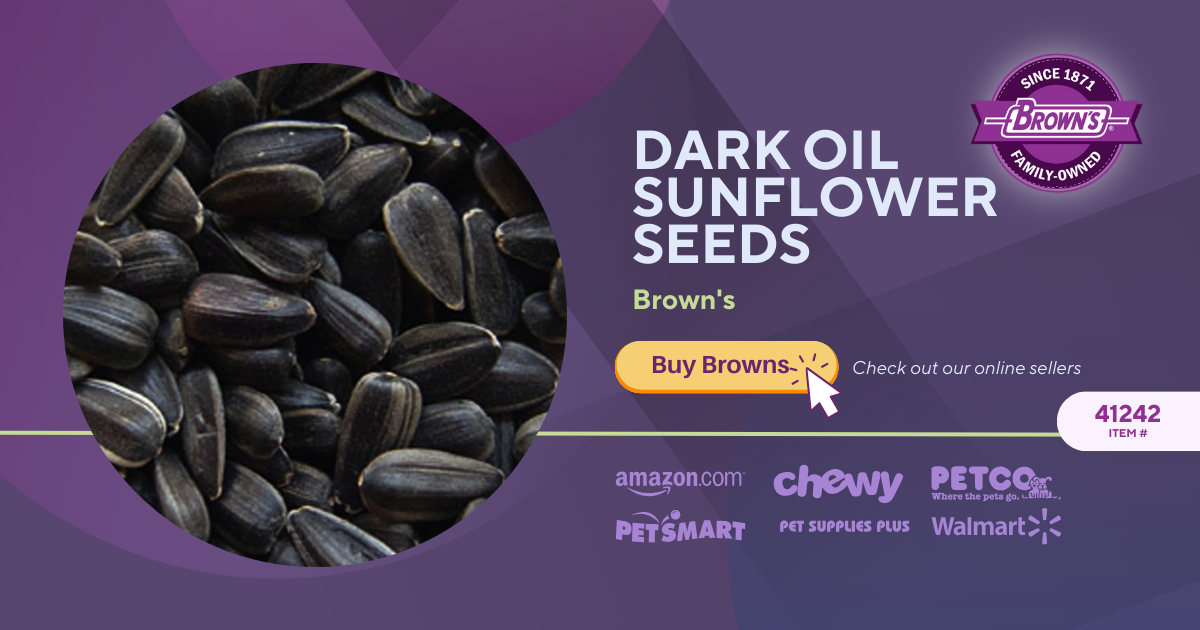 Brown s Pet Food Dark Oil Sunflower Seeds Bird Food