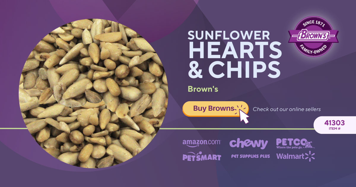 Brown s Pet Food Sunflower Hearts Chips Bird Food