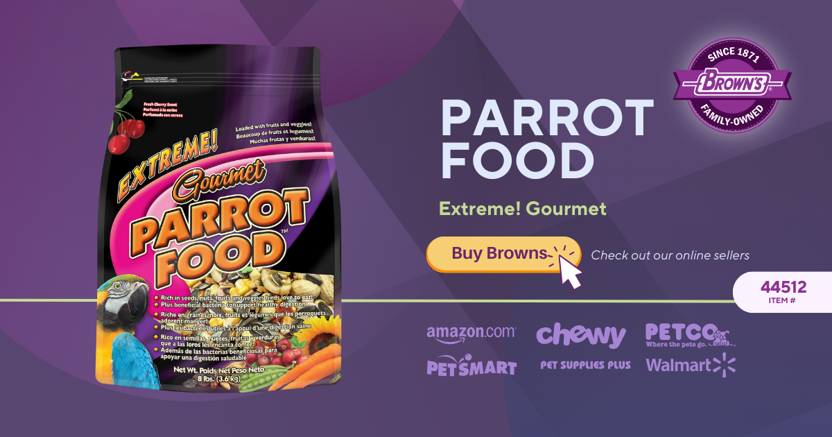 Extreme gourmet 2024 parrot food