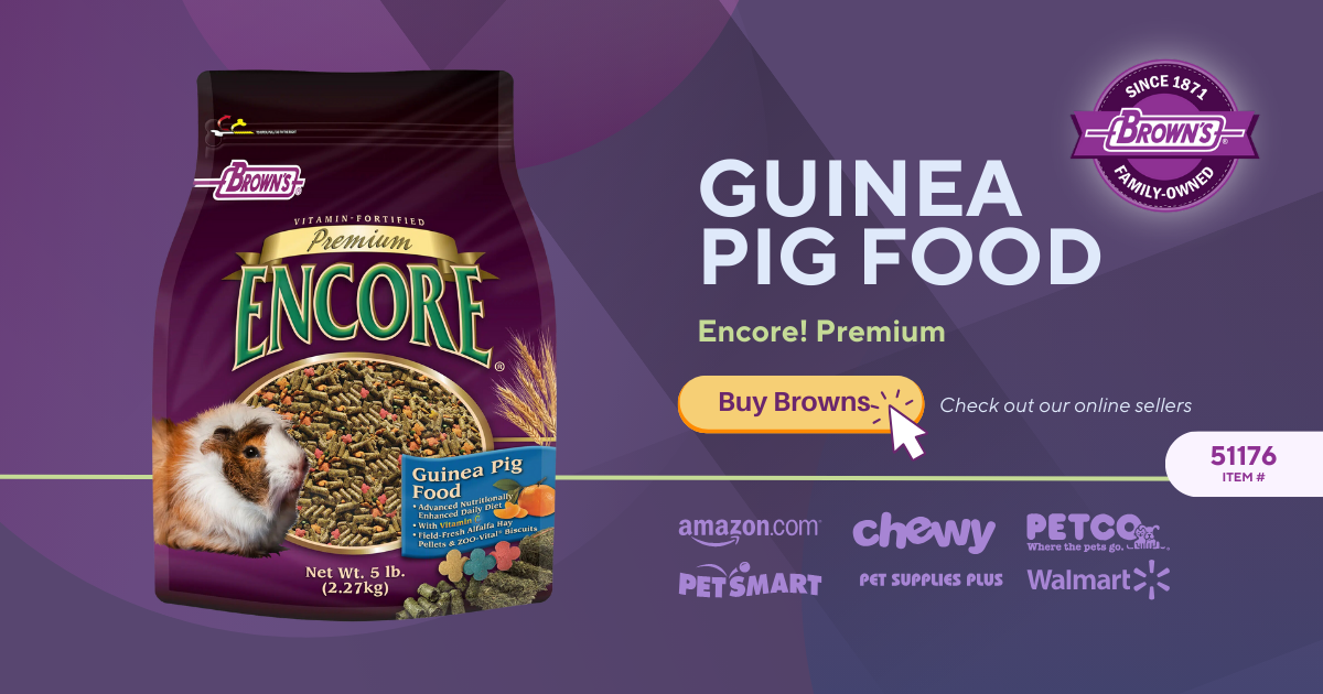 Encore cat best sale food bulk