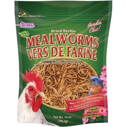 Garden Chic!® Mealworms