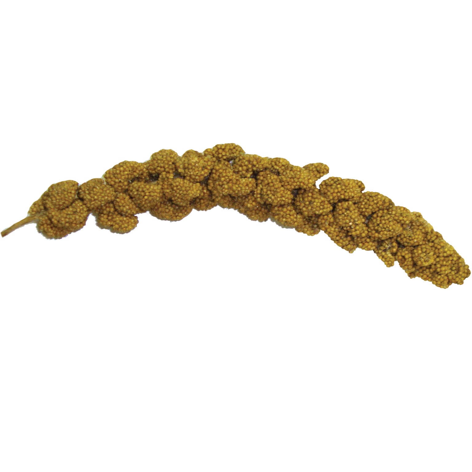 Brown's Pet Food Extreme!™ Millet Spray Natural Bird Treat