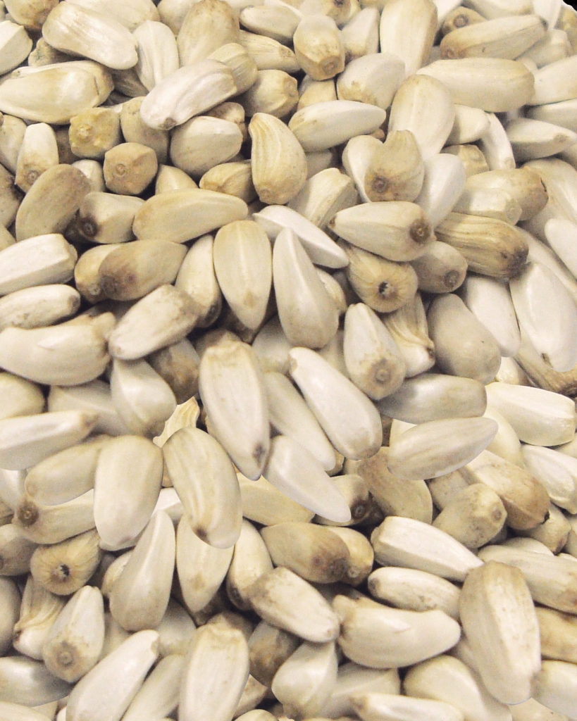 Safflower Seeds Brown's