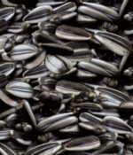 Striped Sunflower Seeds (Small)-0