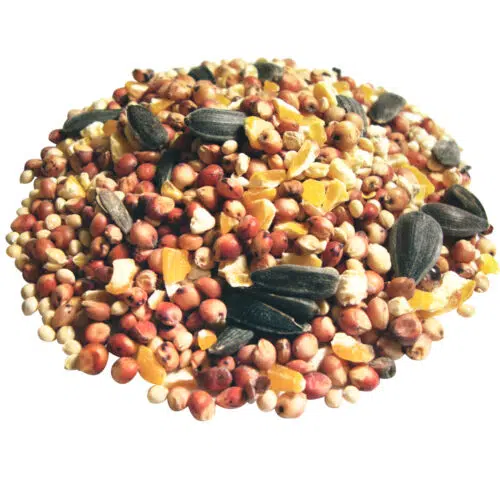 Value Blend Select™ Wild Bird Food
