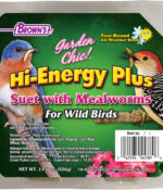 Hi-Energy™ Plus Suet with Mealworms | Garden Chic!®