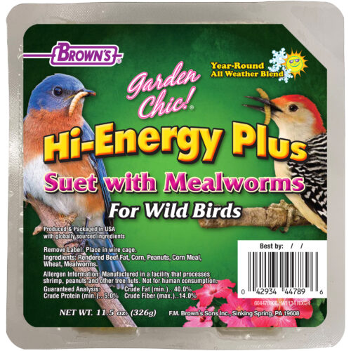 Garden Chic!® Hi-Energy™ Plus Suet with Mealworms