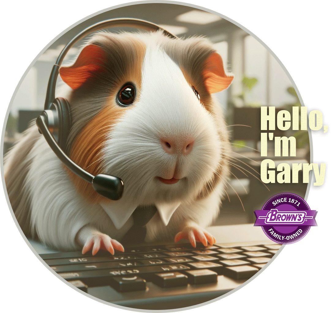 Guinea Pig Guardianship: The Path to a Happy Companion