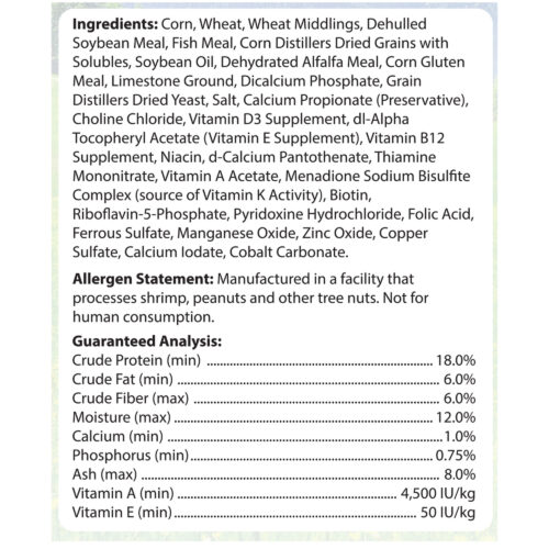 Pet Mouse & Rat Fortified Daily Diet | Tropical Carnival® Natural Behaviors