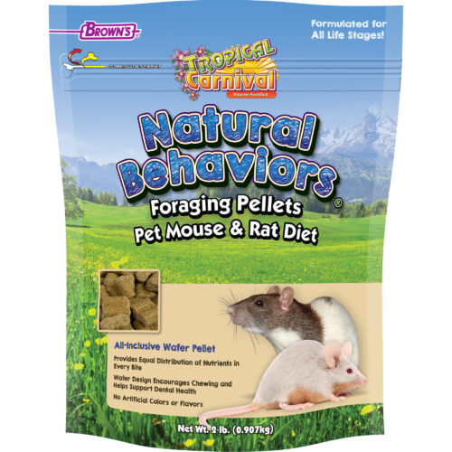 Pet Mouse & Rat Fortified Daily Diet | Tropical Carnival® Natural Behaviors