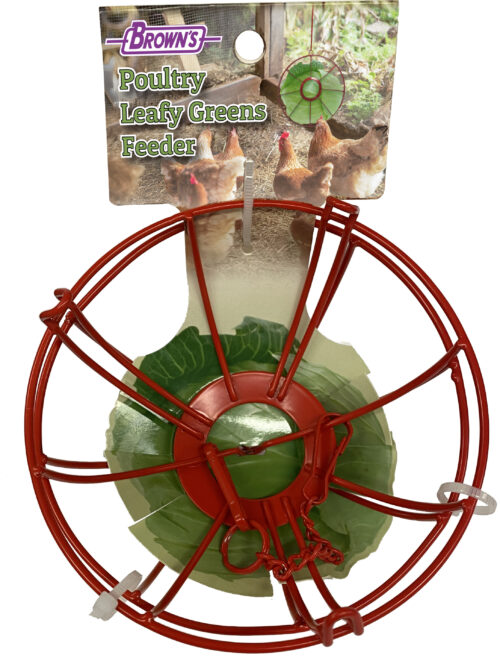 Poultry Leafy Green Chicken Feeder
