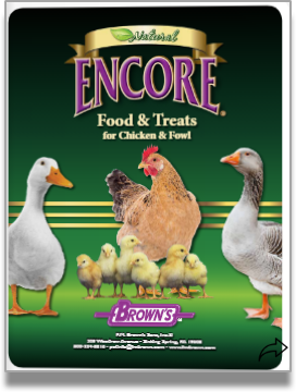 Encore Food and Treats