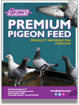 Pigeon Catalog