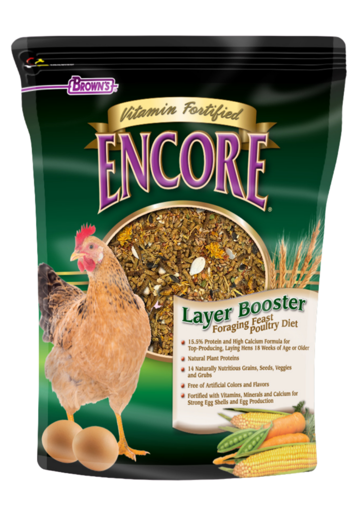 Layer Booster Foraging Feast Poultry Diet