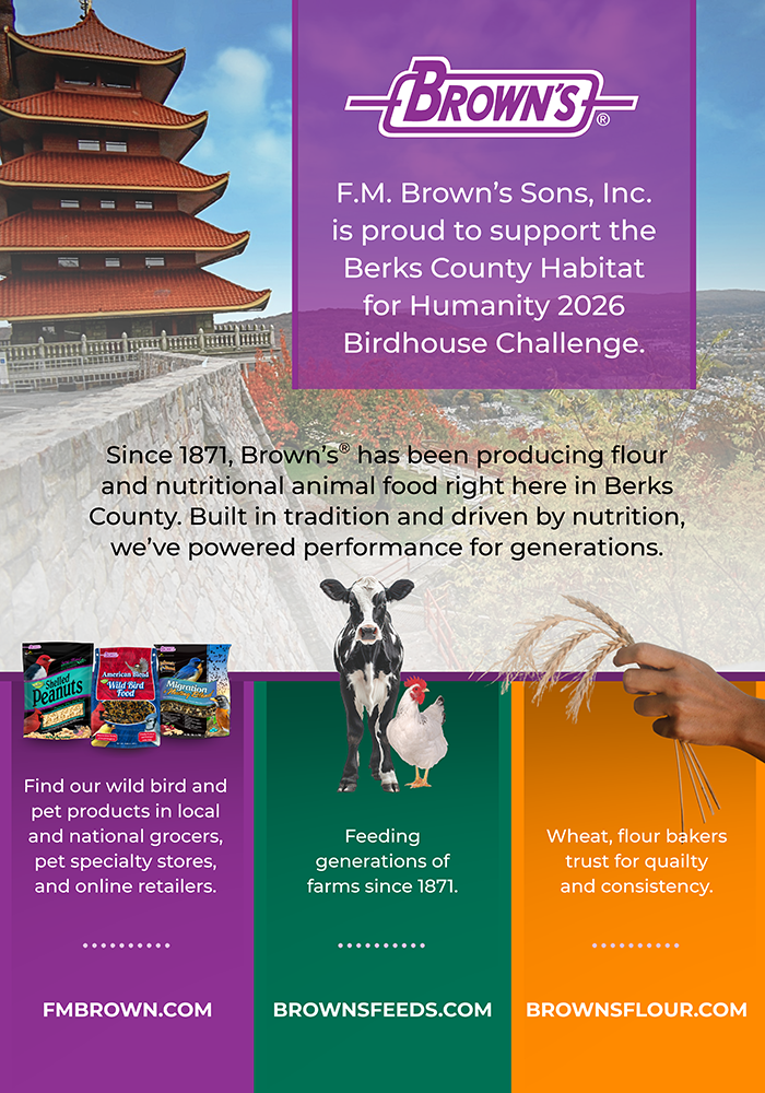 Brown's Pet Food flyer