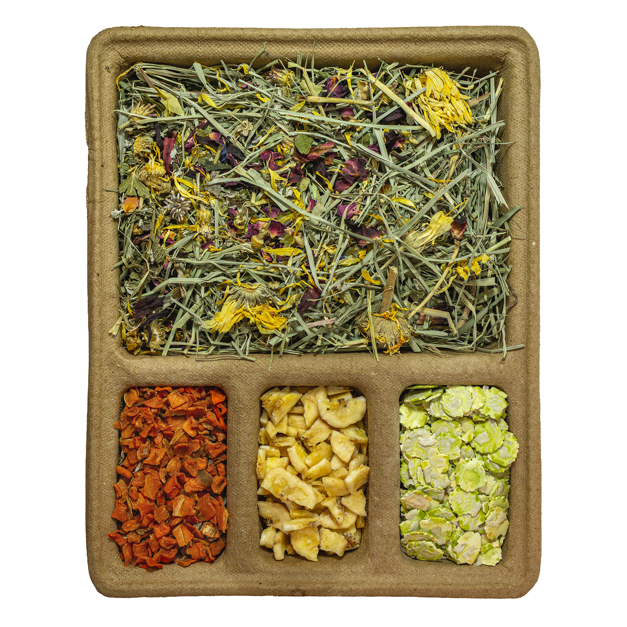 TROPICAL CARNIVAL® Natural Behaviors® Foraging Treat Box