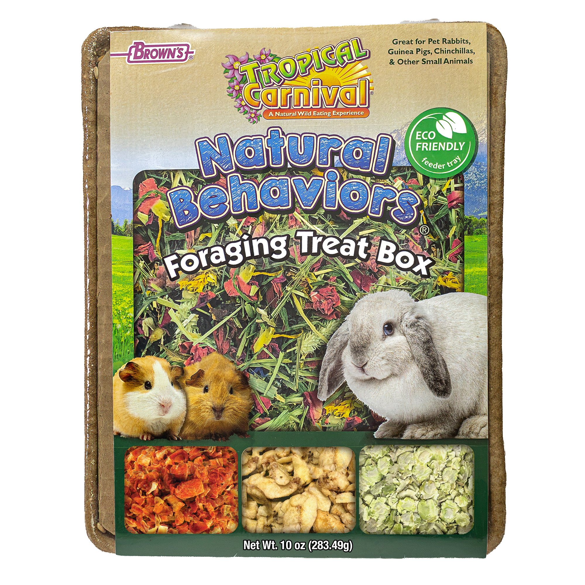 TROPICAL CARNIVAL® Natural Behaviors® Foraging Treat Box