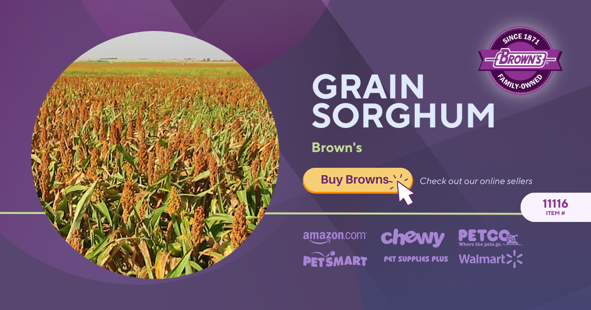 Browns Pet Food Grain Sorghum