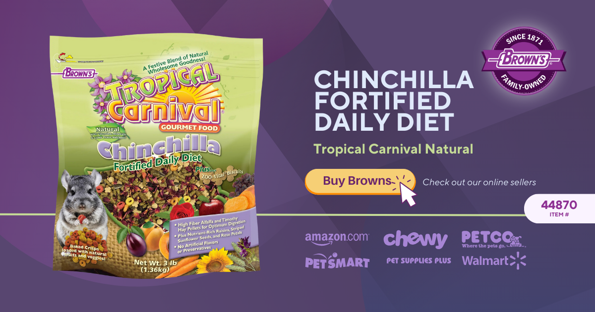 Tropical carnival 2024 chinchilla food